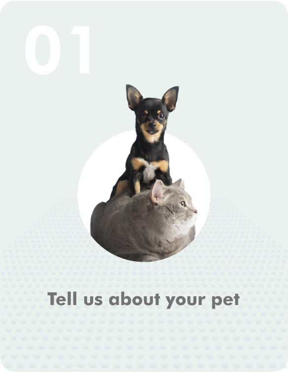 Tell us about your pet